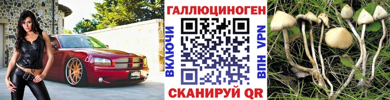 Купить  Тимашёвск  Галлюциногенные грибы прущие грибы 