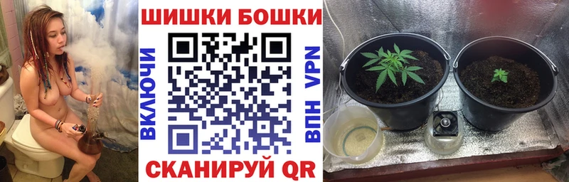 Бошки марихуана индика Тимашёвск